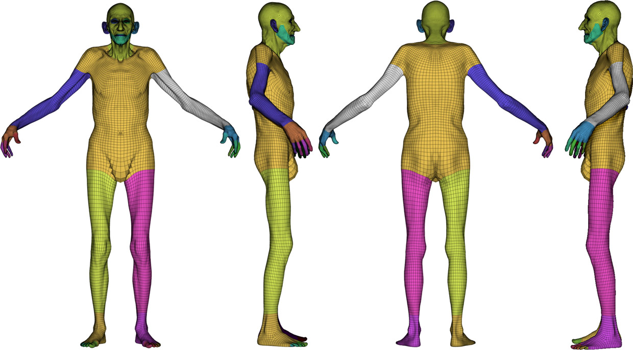 Download retopologised 3d body model for Zbrush